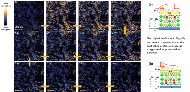 Vis-PiFM of changing absorption in perovskite photovoltaic film at the nanoscale level. The migration of cationic and anionic species due to the application of stress voltages.