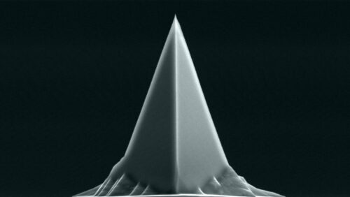 NCH-PtIr AFM tip SEM image