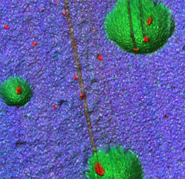 PiFM 3D Topographic Image of PLA-ACM Bioplastic Nanocomposite