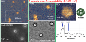 Individual Self-assembled Icosahedral Protein Cage imaged with PiFM