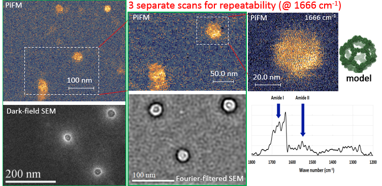 Individual Self-assembled Icosahedral Protein Cage imaged with PiFM