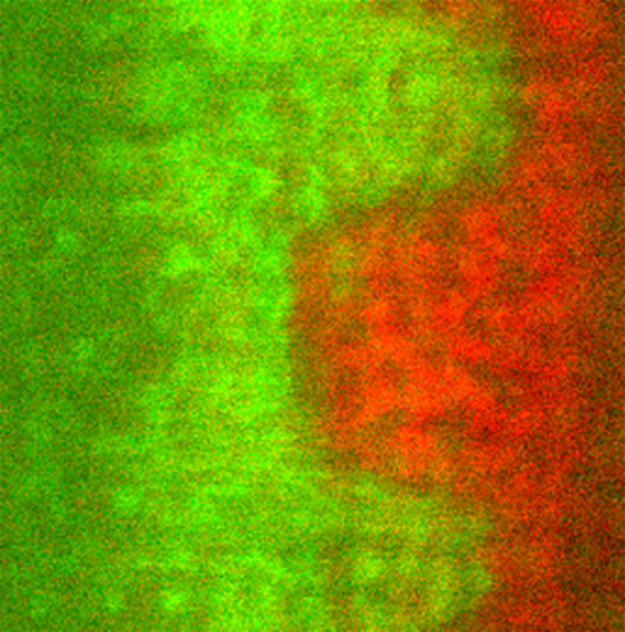 PiFM Image of Semiconductor Trench
