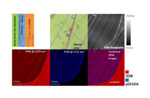 Fig 1 - Cross-sectional IR PiFM Analysis - App Notes on PiFM