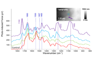 Fig 1 - Nanoscale Protein Analysis - App Notes on PiFM