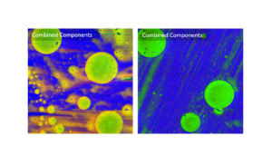 Fig 2 detail-3D-Nanoscale-Analysis-of-Polymer-Systems-App Notes on PiFM