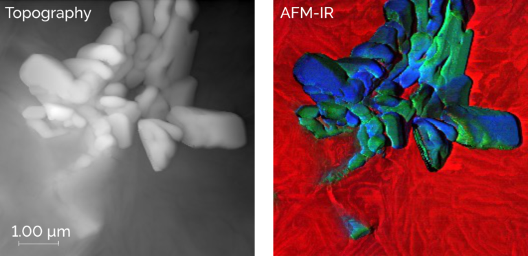 AFM topography and AFM-IR composite