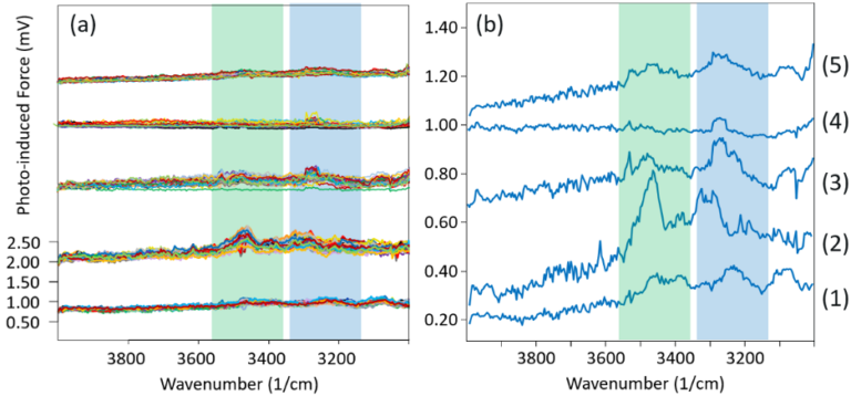 nano-FTIR,nano-scale spectroscopy,AFM,PiFM,nano-scale chemical mapping,PiF-IR,snom,Molecular Vista,nanoscale,analysis,mapping